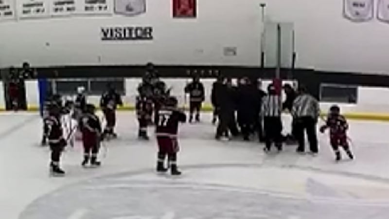 Windsor, Ont. hockey coach involved in fight at U13 game back on the bench