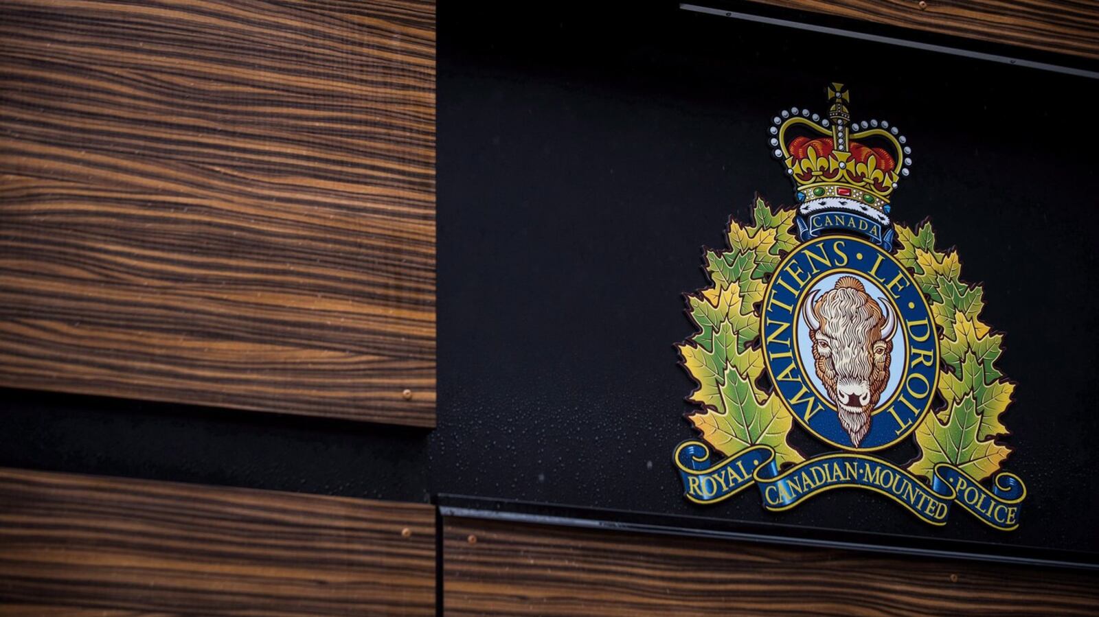 Suspect arrested after ‘indecent act’ on Langley trail: RCMP