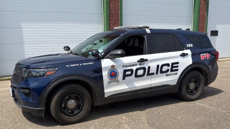 Thunder Bay police seize edged weapons, charge local man