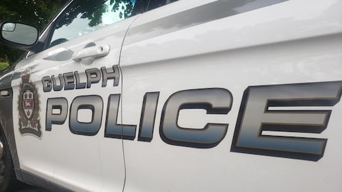 Man bites officer after allegedly cutting down sign with chainsaw