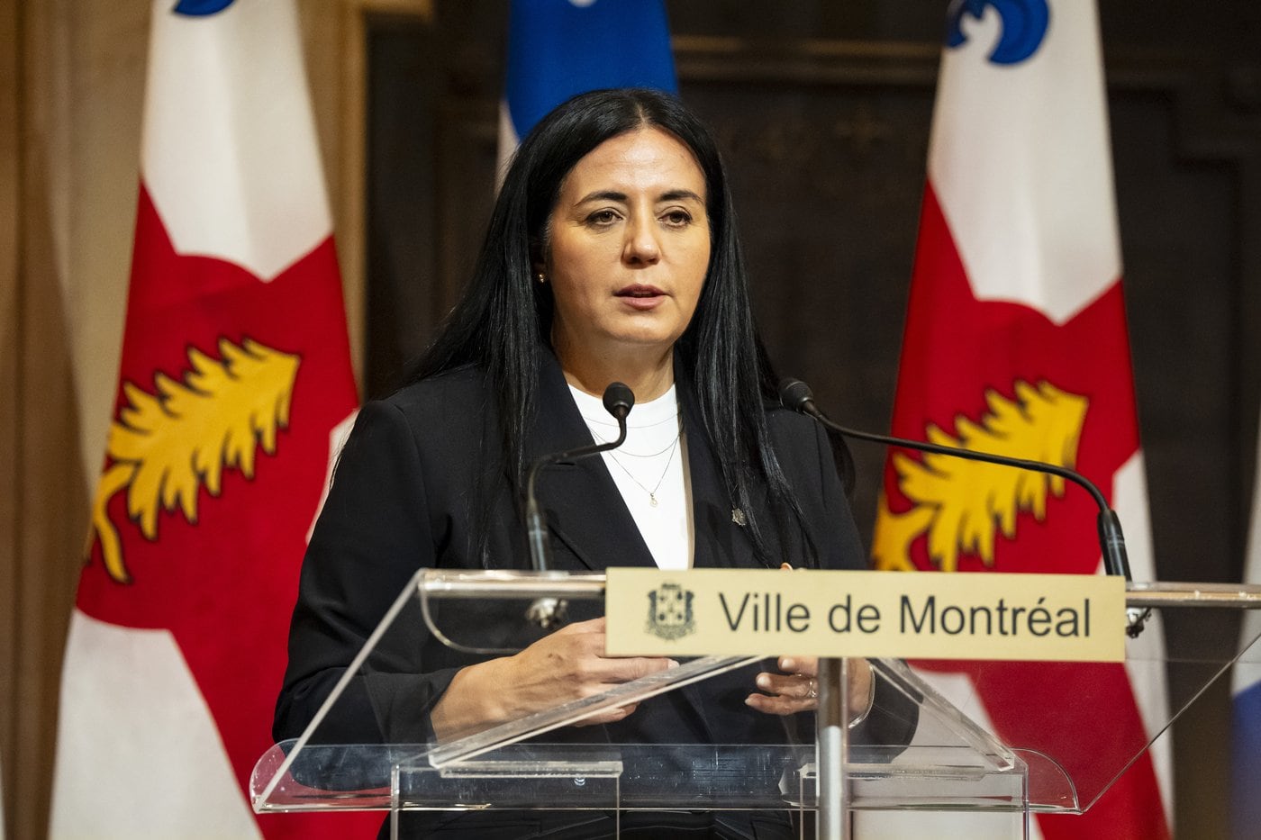 Addressing homelessness should be considered nation-building project: big c