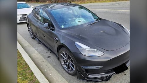 Vandalized Tesla may have been ‘intentionally targeted,’ Nanaimo RCMP say