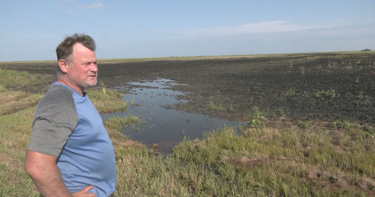 „So etwas habe ich noch nie erlebt“: Manitobas Landwirte kämpfen mit ...
