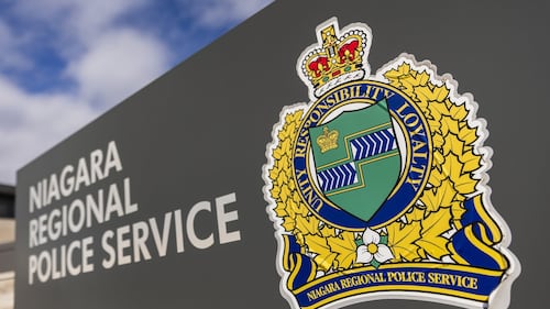 'Disturbing' stabbing of 8 horses on Ontario farm remains unsolved a year later