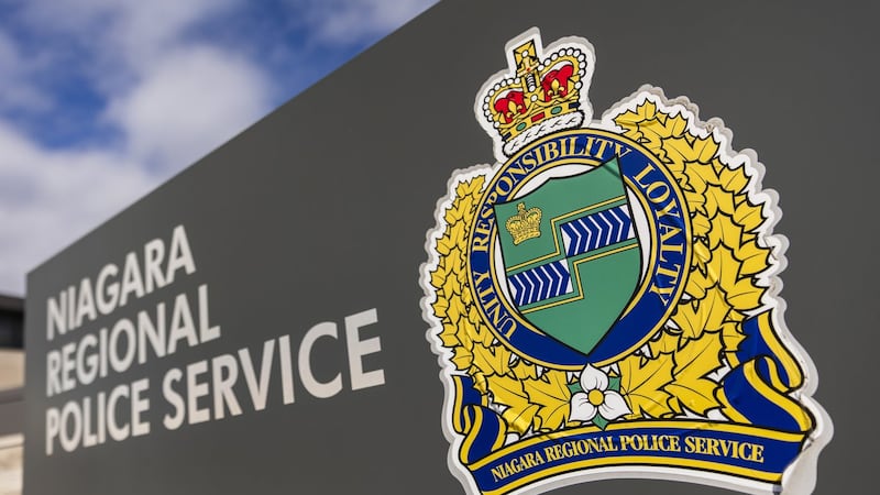 'Disturbing' stabbing of 8 horses on Ontario farm remains unsolved