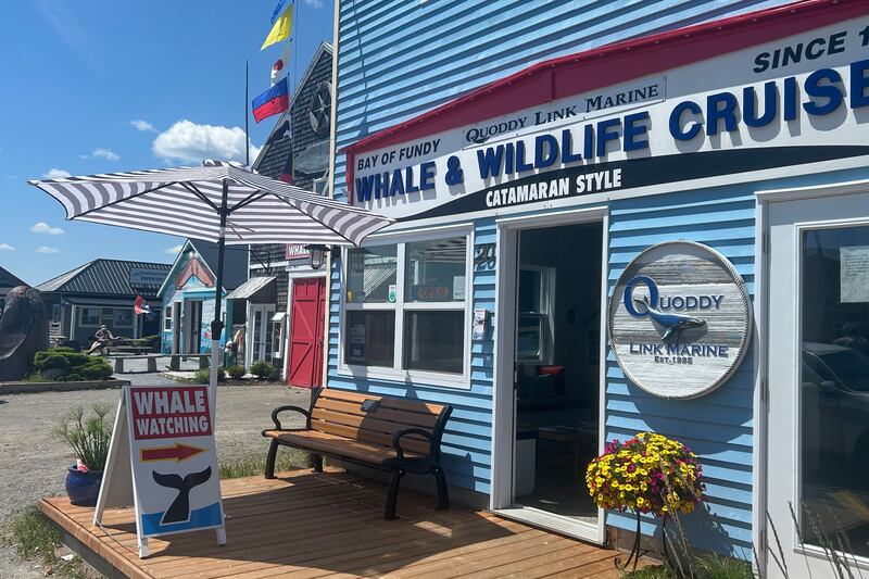 ‘It’s a great place to come visit’: Tourism season arrives in Saint Andrews, N.B.