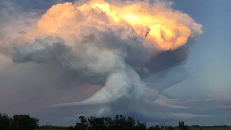 Calgary weather: Hot, dry stretch bringing increased fire risk