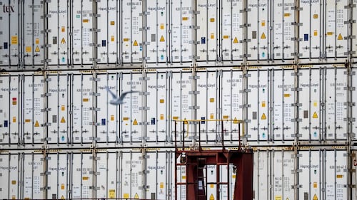 Customs portal causing headaches more than a year into its rollout