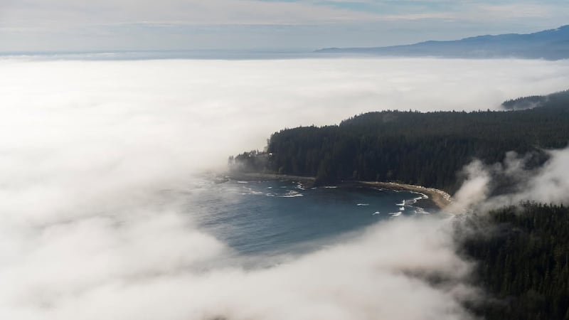 ‘We’re going to do it anyways’: Some hikers press ahead after West Coast Trail warning