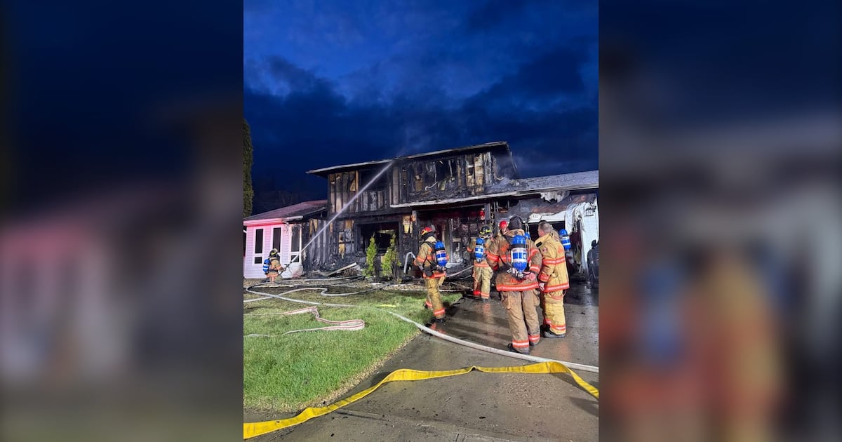 Moose Jaw firefighters rescue cat after serious house fire