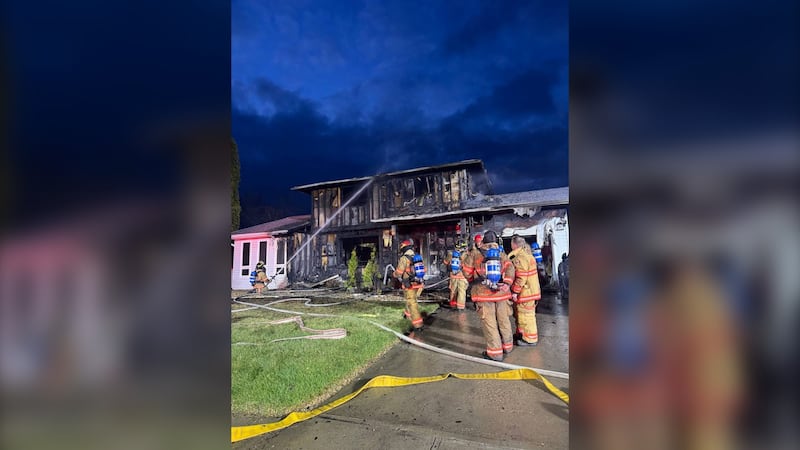 Moose Jaw firefighters battle destructive house blaze, save cat