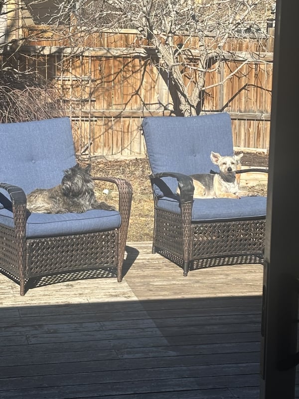 One last day of springlike weather until cold returns to Calgary