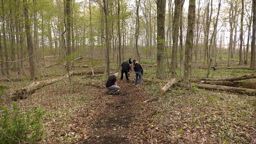 PowerCo and city forge new community nature trail in St. Thomas