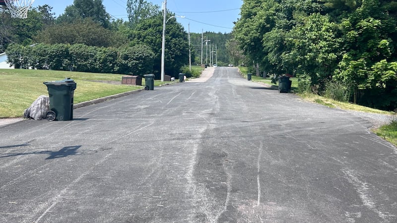 Cape Breton residents raise stink over missed garbage pickups
