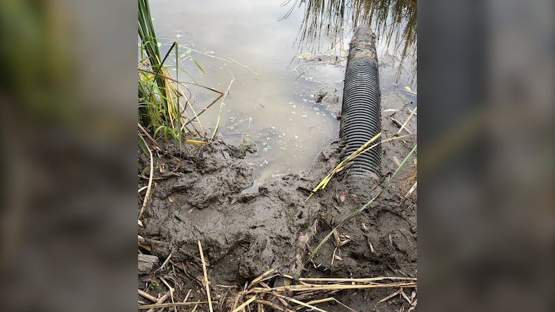 Ottawa firefighters rescue woman trapped in mud at Kanata pond