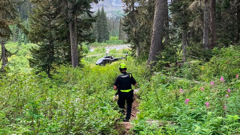 Man injured in grizzly bear attack near Pemberton, B.C.