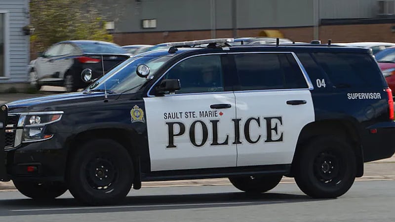 Sault man threatens employee with bear spray in robbery