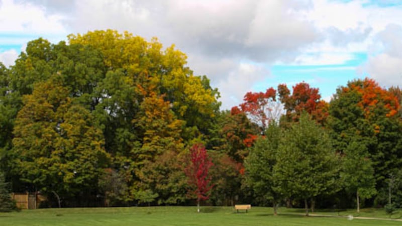 Clear skies expected Saturday in Windsor