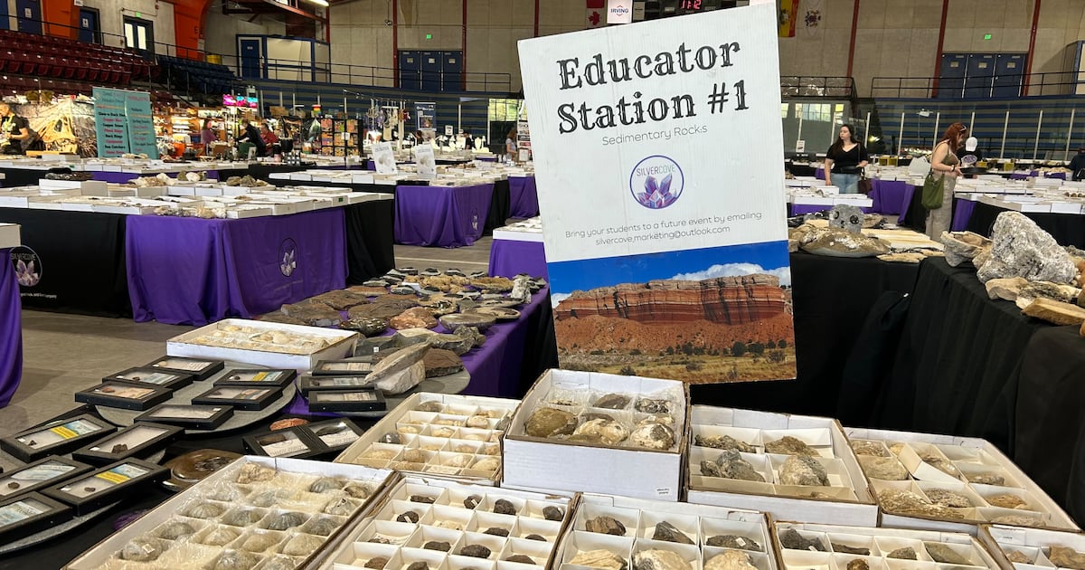 Rock N' Gem show wraps Maritime stone showcase in Saint John