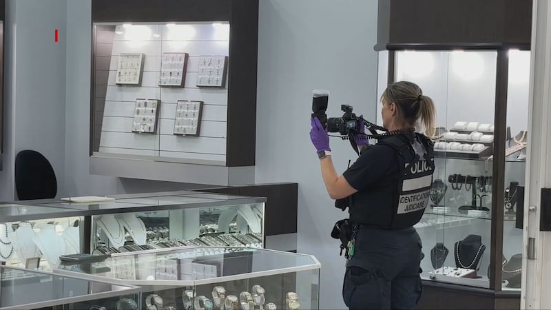Teen arrested in jewelry store robbery at Carrefour Angrignon; police seek others