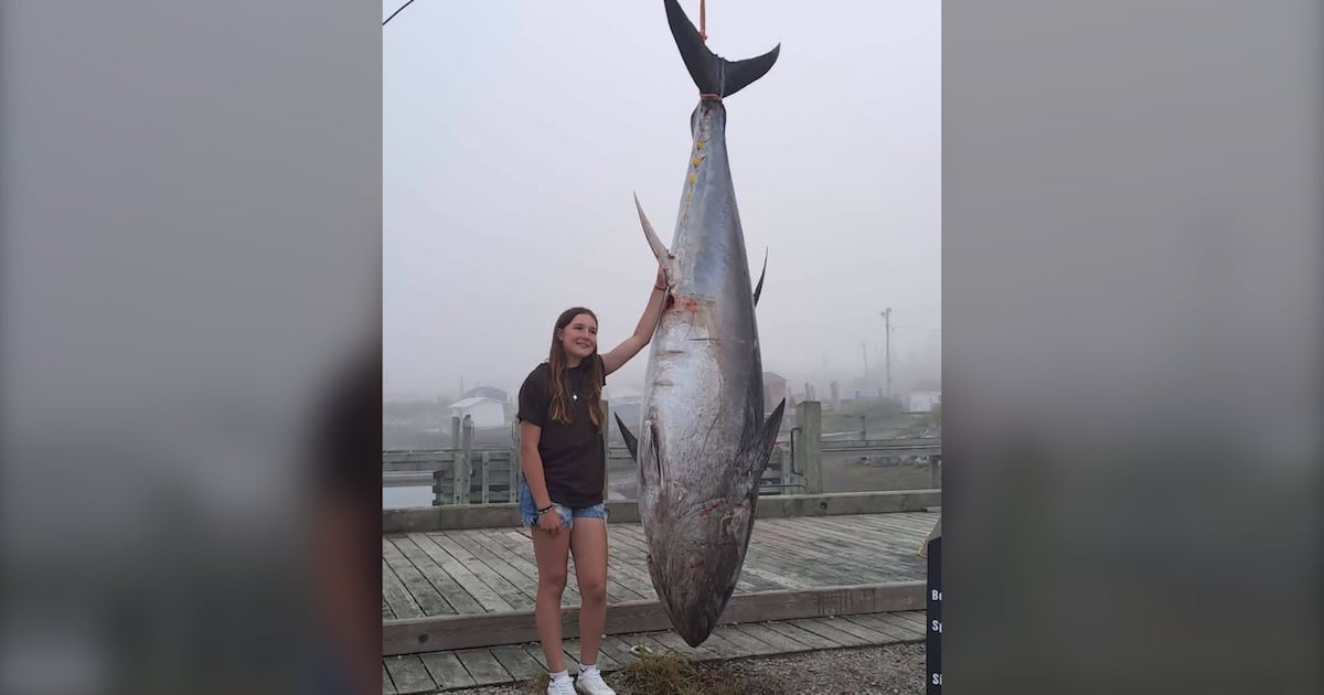 ‘I felt amazed': N.S. girl may reel in a record with 700 lb tuna catch