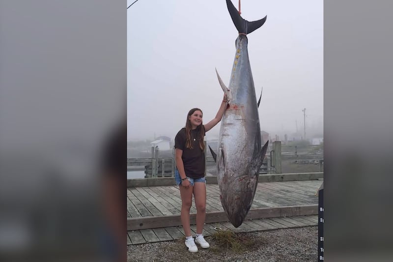 ‘I felt amazed’: 13-year-old may reel in a record with 700 lb tuna catch