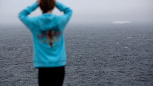 Parade of ghostly icebergs brings joy and wonder to Newfoundland and Labrador