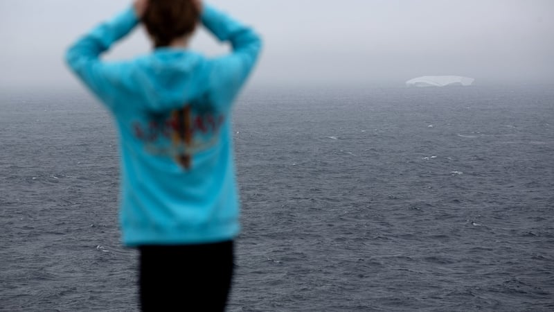 Parade of ghostly icebergs brings joy and wonder to Newfoundland and Labrador
