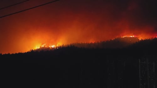 ‘Conditions that we have never seen before’: Devastation in B.C.’s Okanagan as wildfire explodes in size