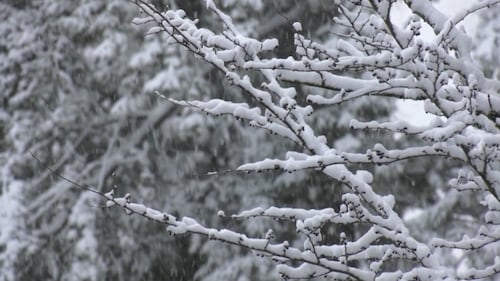 Time to get ready as more winter weather finds way to southern Alberta