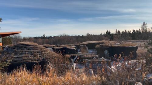 The Edmonton Valley Zoo announced a plan for the next 15 years. Nov. 24, 2025. (Sasha Pietramala/CTV News Edmonton)