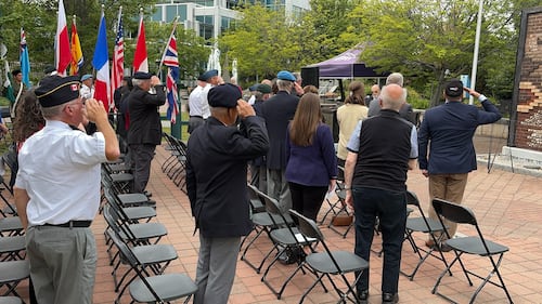 Military personnel stand and salute during a ceremony.