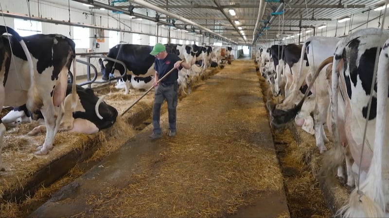 Tariff threat looms over Quebec businesses, dairy sector on edge