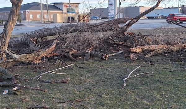 Windsor still dealing with wind damage after March storm