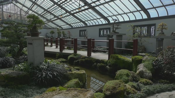 Montreal’s Botanical Garden reopens greenhouses after renovations