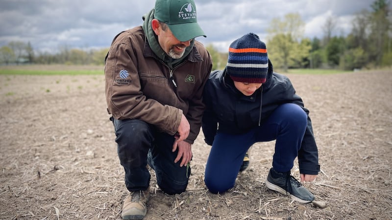 Cold snap, spring rain slow planting for Waterloo Region farmers