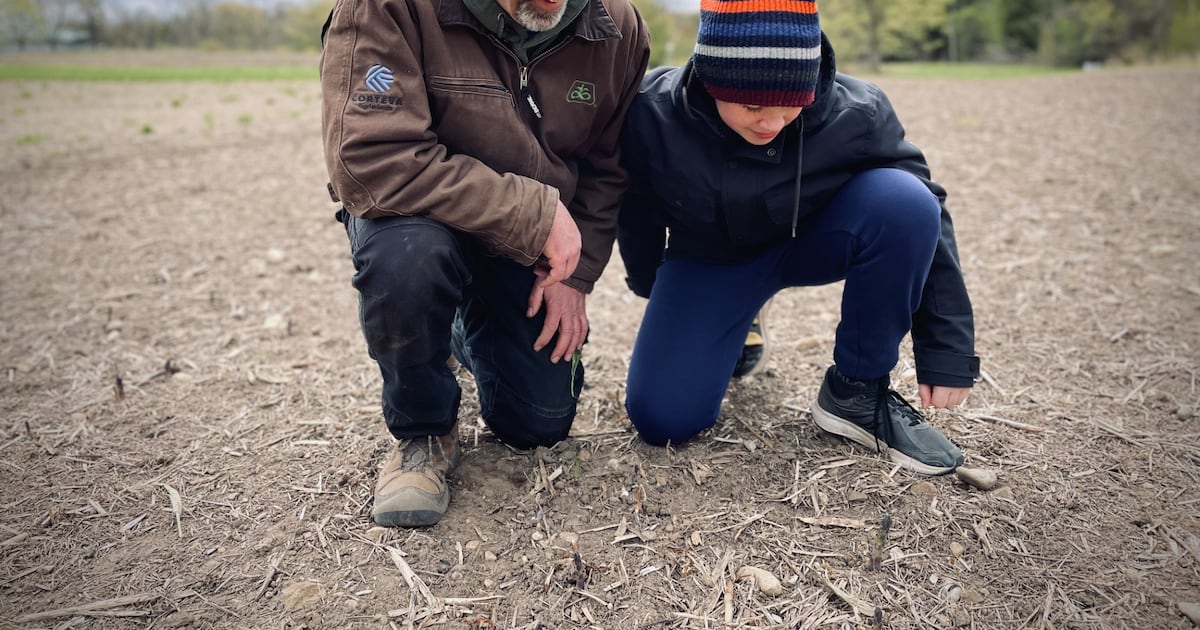 Cold Emem Cold snap, spring rain slow planting for Waterloo Region farmers