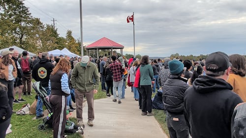 Families went to the Windsor Pumpkin Regatta and Build Your Own Boat Race in Windsor, N.S., on Sunday, Oct. 11, 2026. (Valentine Nkengbeza/CTV Atlantic)