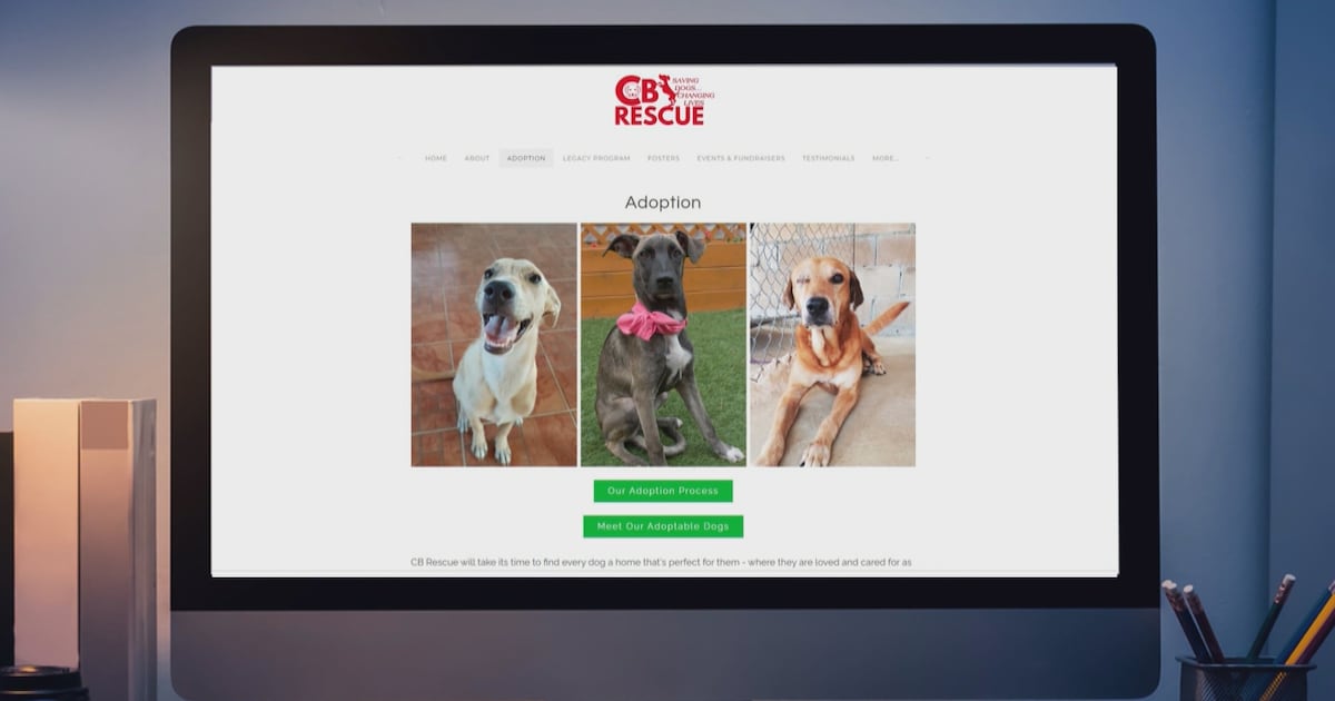 Tropical fruits, fasting and even grapes: Calgary animal adoption agency under investigation for dog dieting protocol
