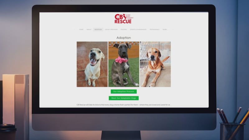 Tropical fruits, fasting and even grapes: Calgary animal adoption agency under investigation for dog dieting protocol