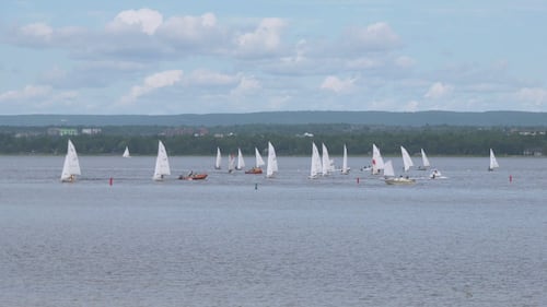 A sunny and mild Friday in Ottawa, but rain expected this weekend