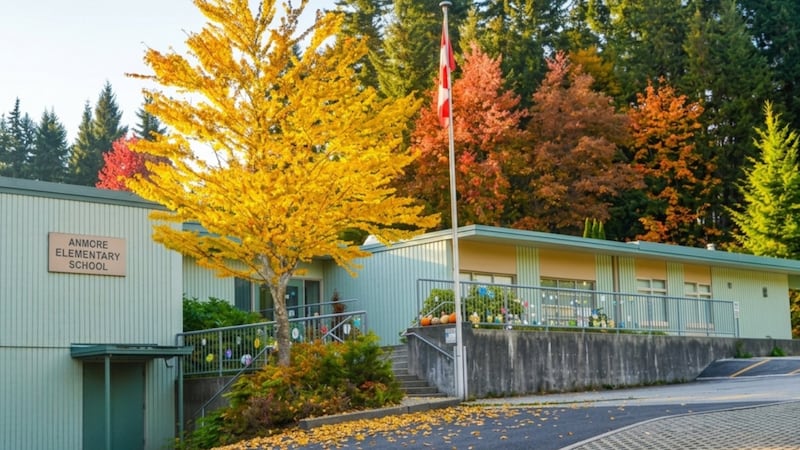 Former treasurer of B.C. school’s parent advisory council charged with fraud