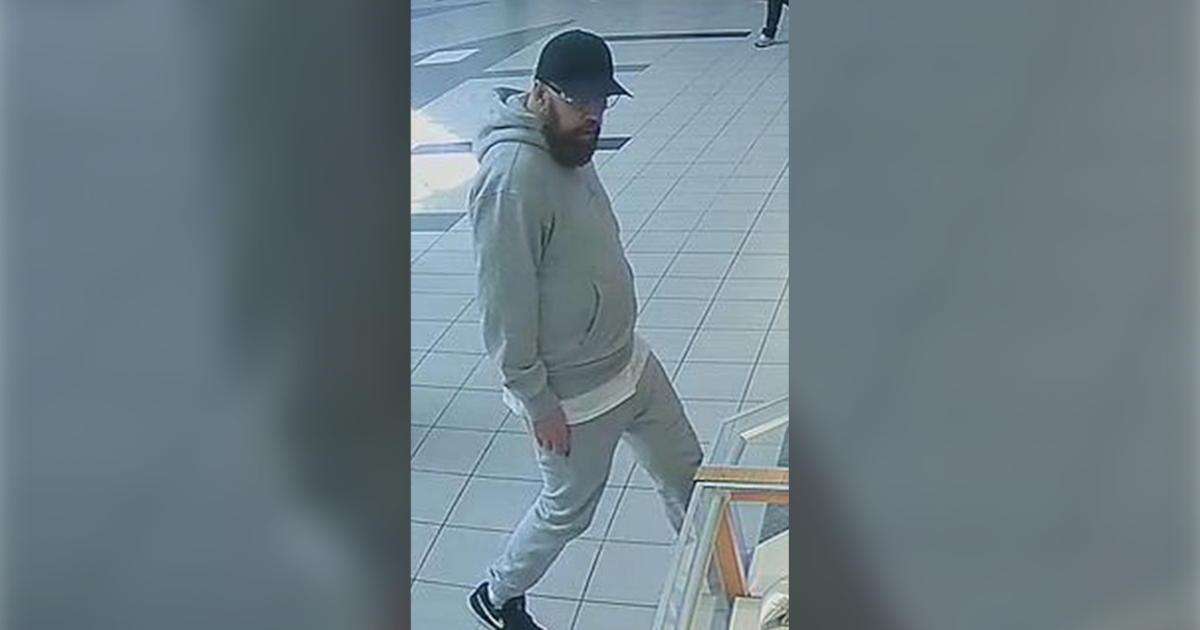 Police investigate jewellery theft in Waterloo