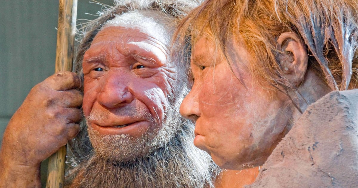 Prehistoric cave discoveries hint at shared culture between Neanderthals ...