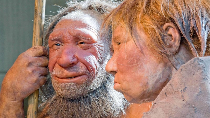 Prehistoric cave discoveries hint at shared culture between Neanderthals and humans