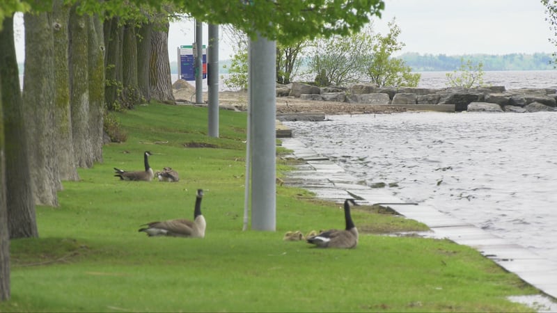 Ottawa’s stretch of 20 C temperatures continues