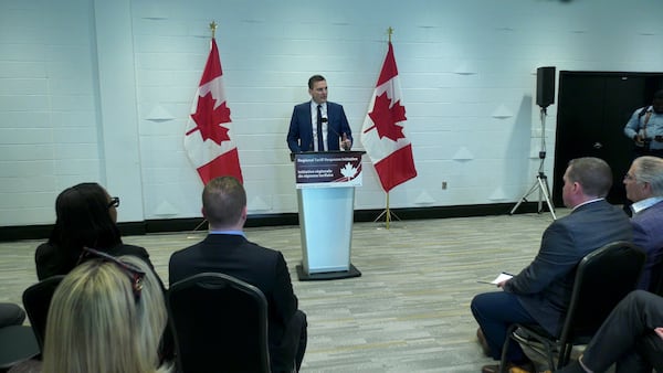 Federal government invests over $20M in southwestern Ontario businesses to combat tariff impacts