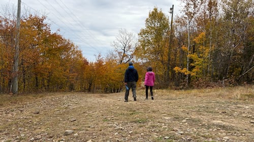 Two people walk on a pathway between trees.