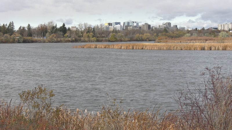 Mosaic inks 10-year-deal with Ducks Unlimited Canada to restore Sask. wetlands