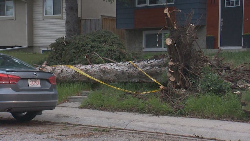 Alberta storm brings hail, high winds and possible tornadoes
